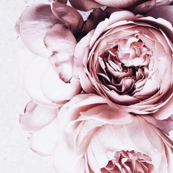 Tops - 🌸 Thank you! 🌸